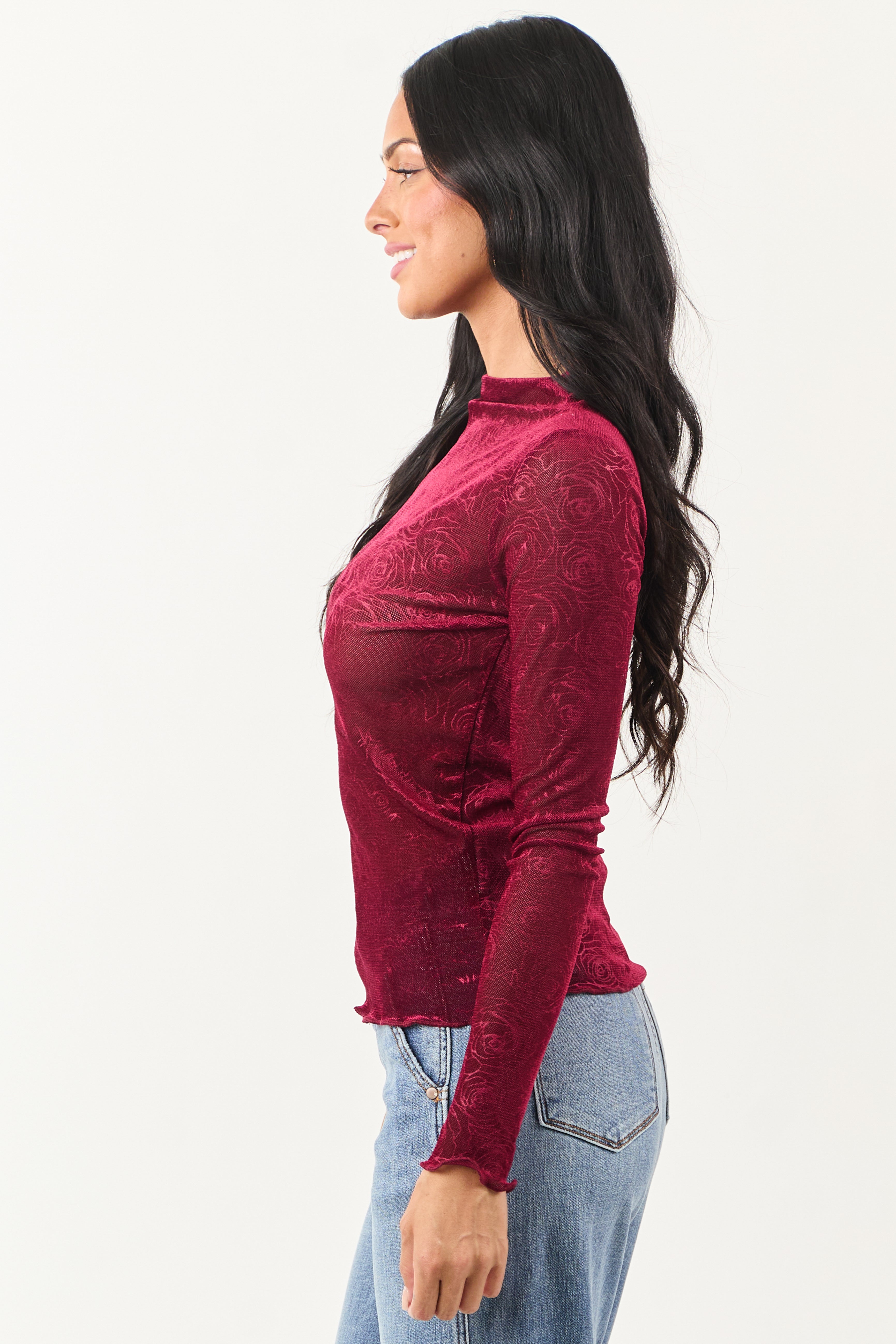 Sangria Rose Velvet Textured Mesh Long Sleeve Top